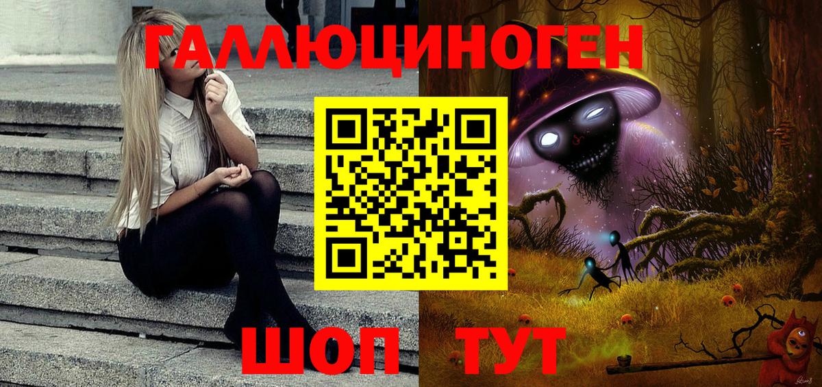 Галлюциногенные грибы Psilocybine cubensis Лысьва